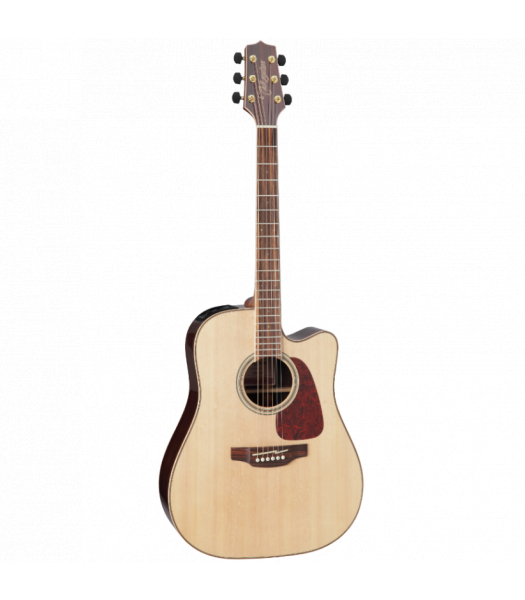 Takamine series clearance